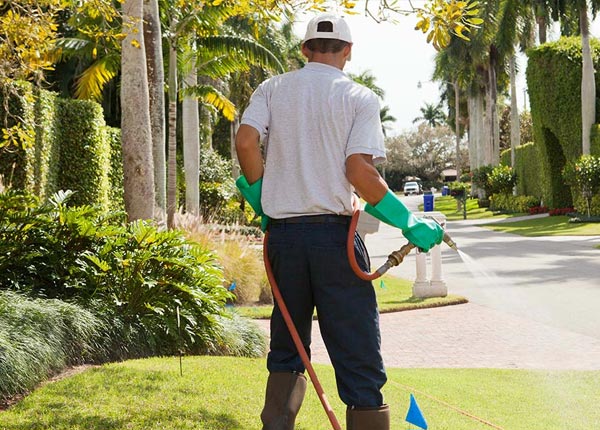 About Ogdensburg NY Pest Control